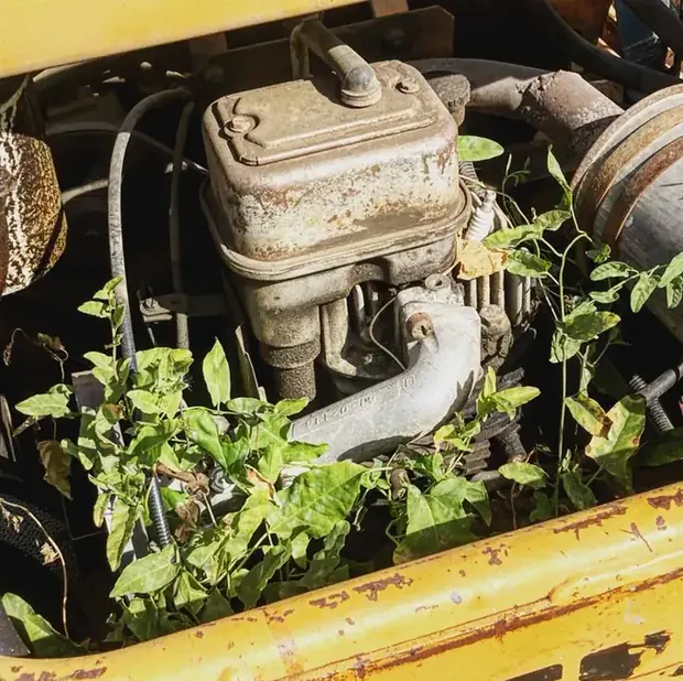 Small engine yard equipment repair